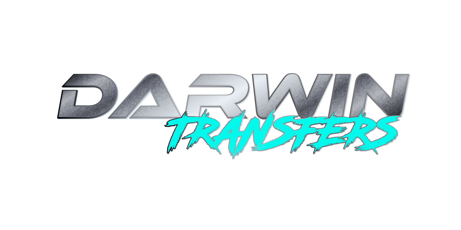 Darwin Limo Service